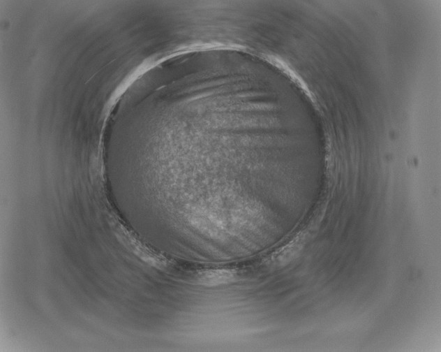 X0000080201173200612221358