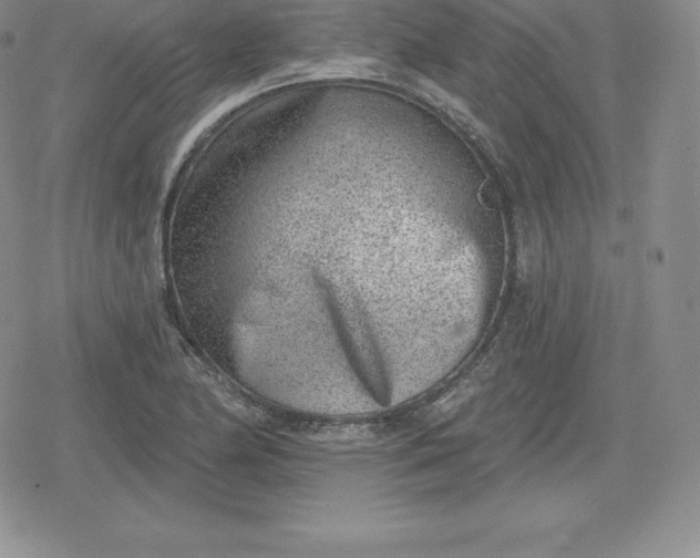 X0000080201174200612221358