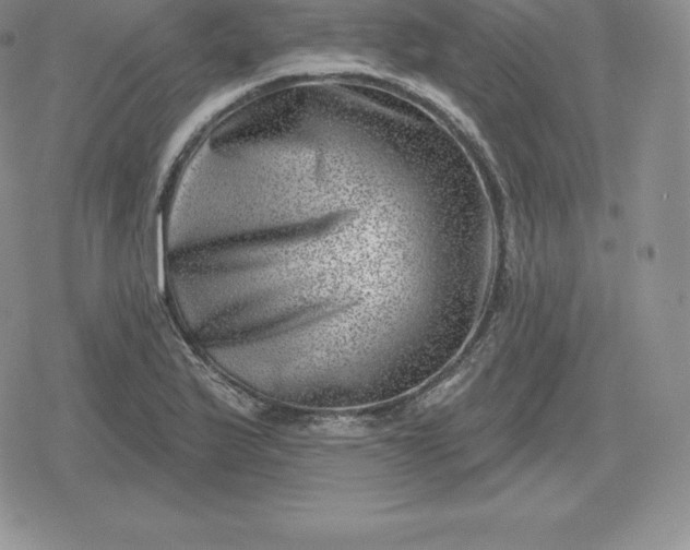 X0000080201175200612221358