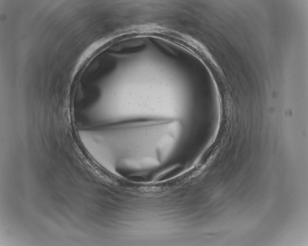 X0000080201176200612221358