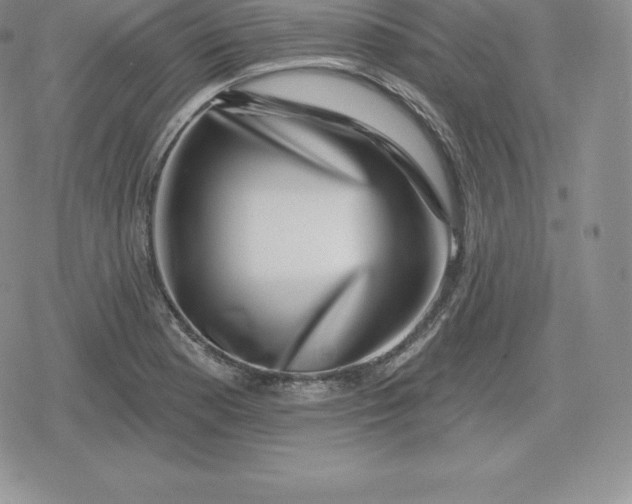 X0000080201177200612221358