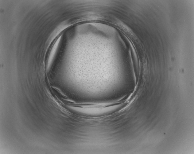 X0000080201178200612221358