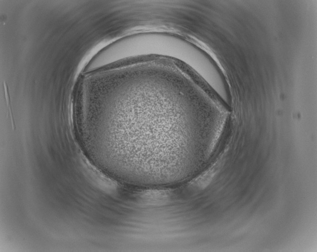 X0000080201179200612221358