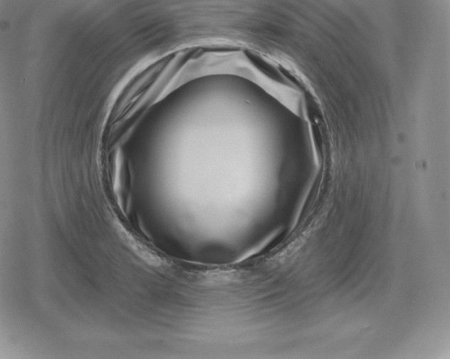 X0000080201181200612221358