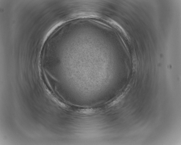 X0000080201182200612221358