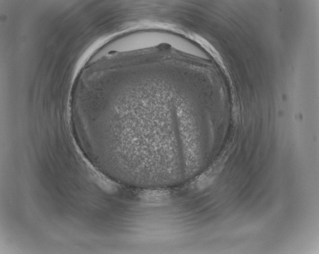 X0000080201183200612221358