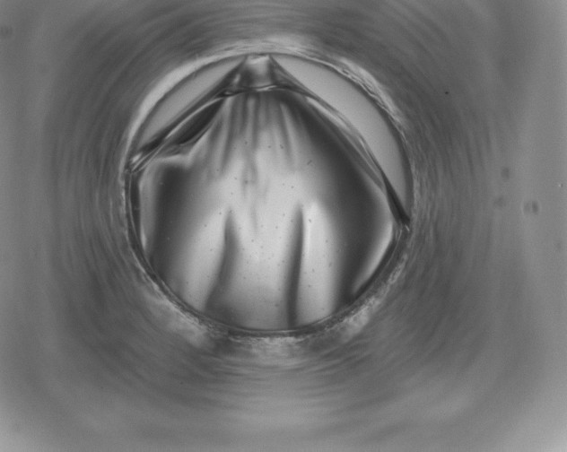 X0000080201184200612221358