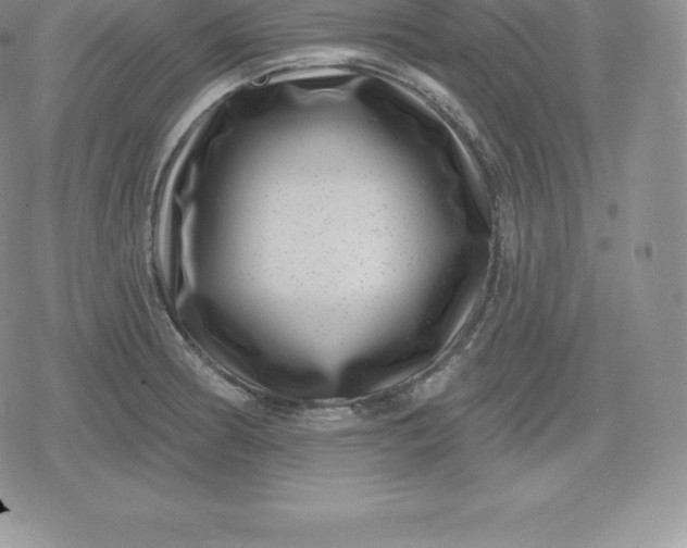 X0000080201186200612221358