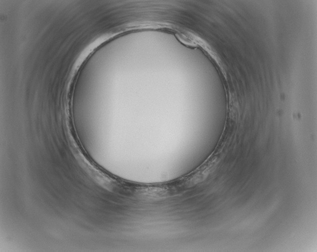 X0000080201187200612221358