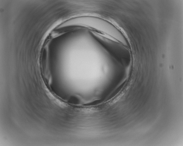 X0000080201189200612221358