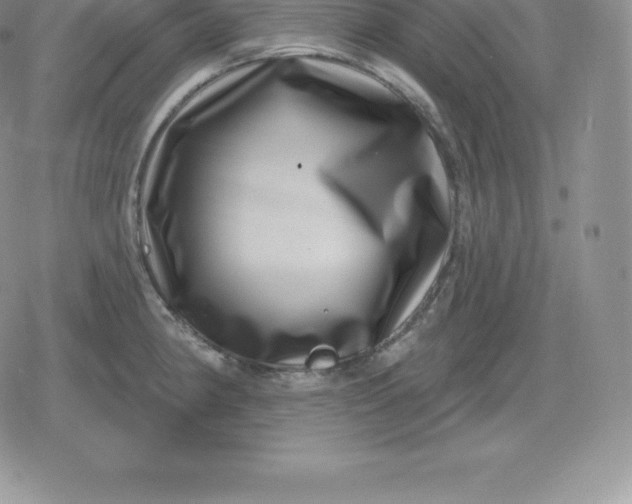 X0000080201190200612221358