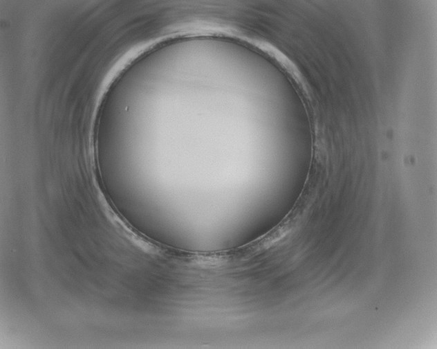 X0000080201191200612221358