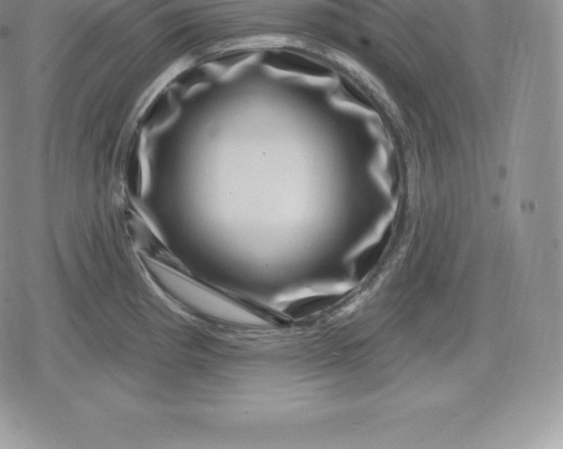 X0000080201193200612221358