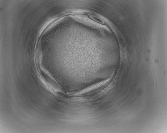 X0000080201194200612221358