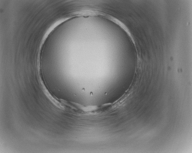 X0000080201195200612221358