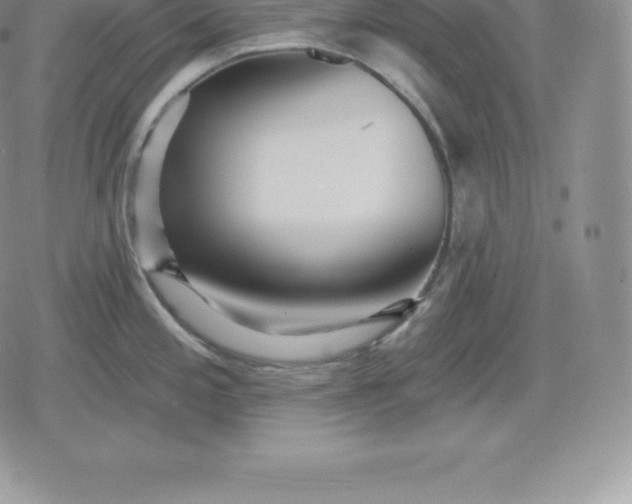 X0000080201197200612221358