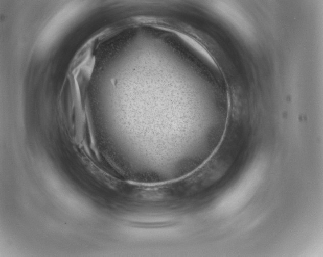 X0000080201198200612221358