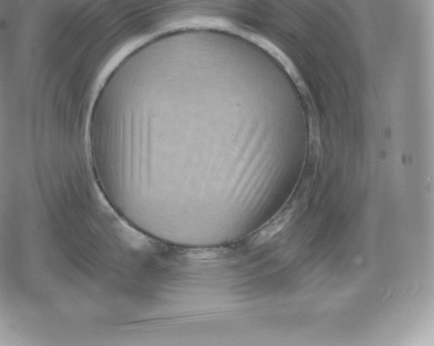 X0000080201199200612221358