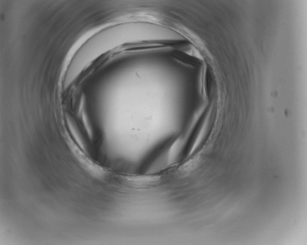 X0000080201200200612221358