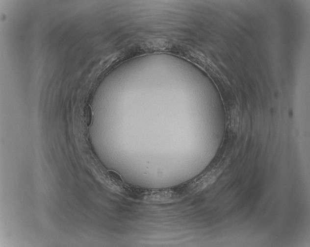 X0000080201201200612221357