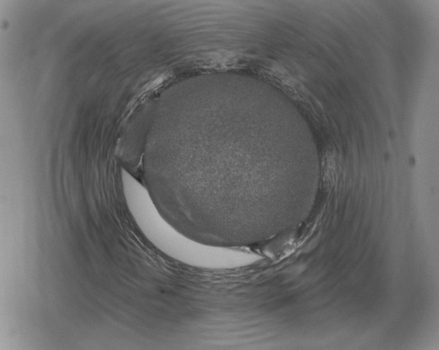 X0000080201202200612221357