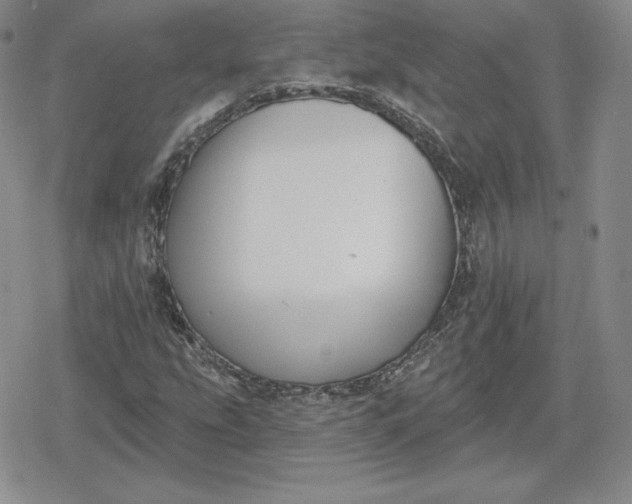 X0000080201207200612221357