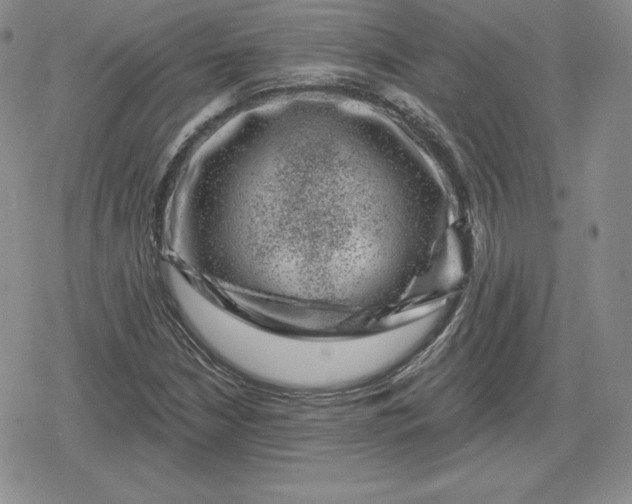 X0000080201210200612221357