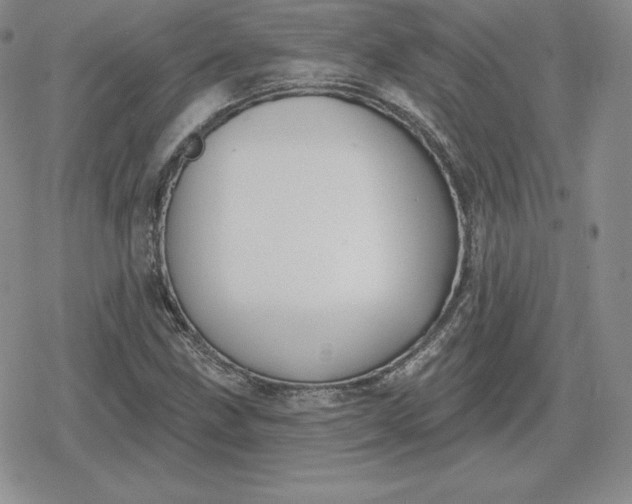 X0000080201211200612221357