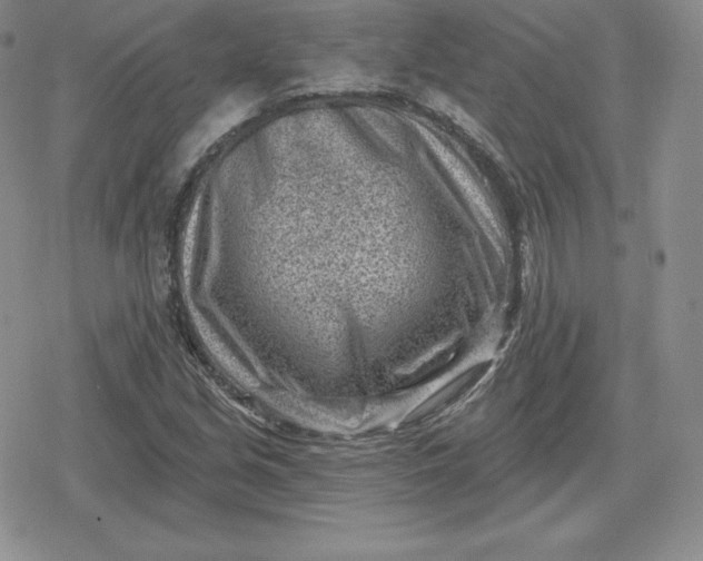 X0000080201213200612221357