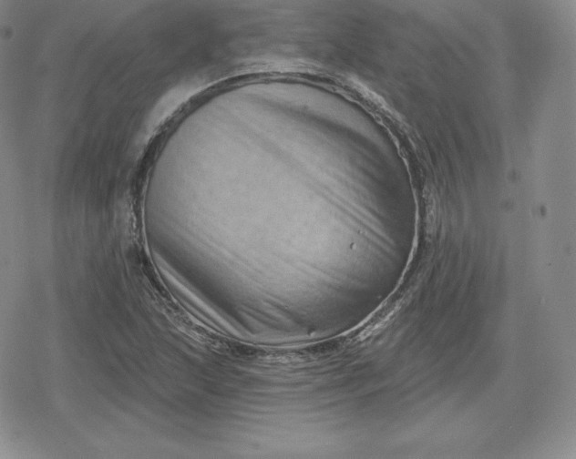 X0000080201215200612221357