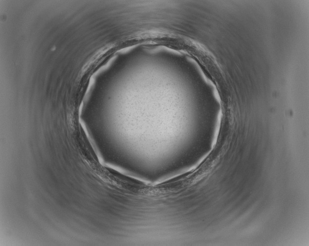 X0000080201217200612221357