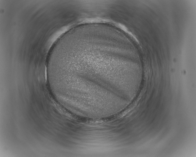 X0000080201221200612221357