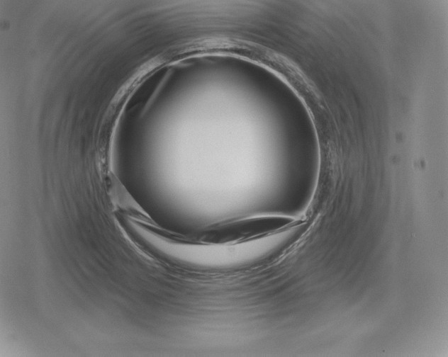 X0000080201225200612221357