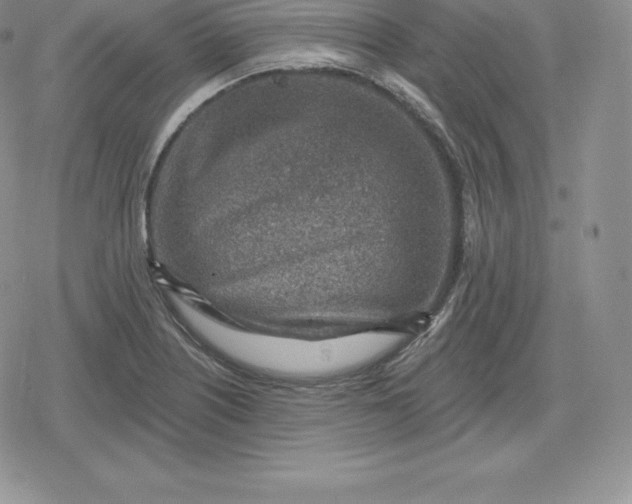 X0000080201226200612221357