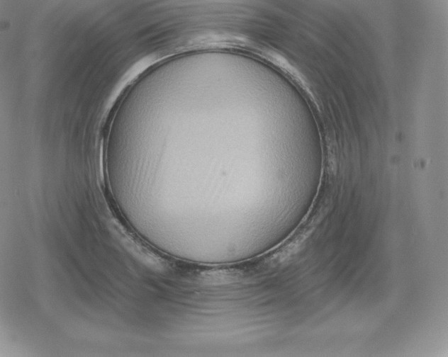 X0000080201227200612221357