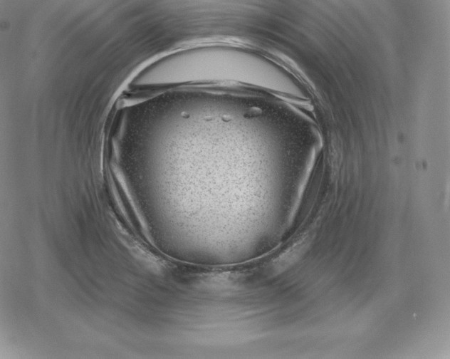 X0000080201228200612221357