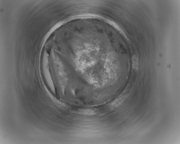 X0000080201229200612221357