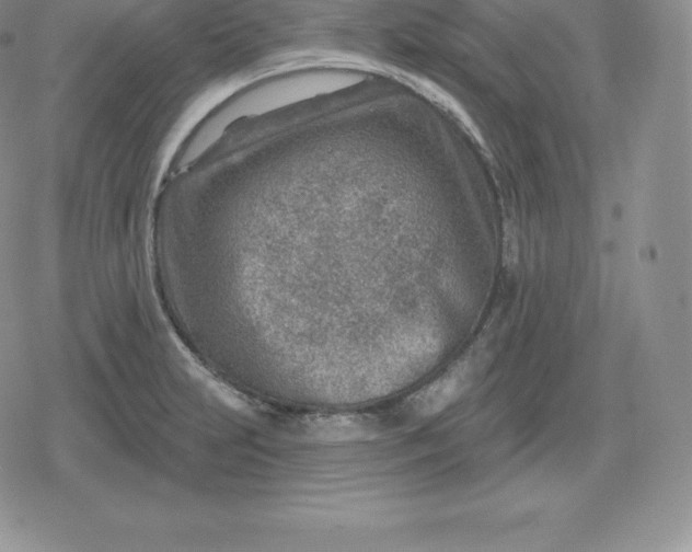 X0000080201231200612221357