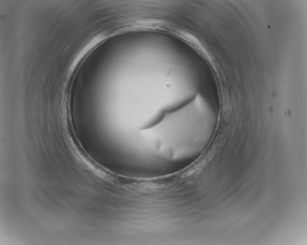 X0000080201235200612221357