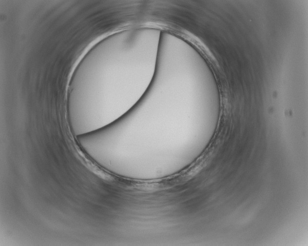 X0000080201236200612221357