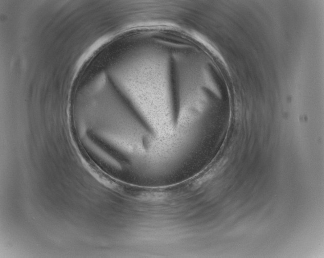 X0000080201237200612221357