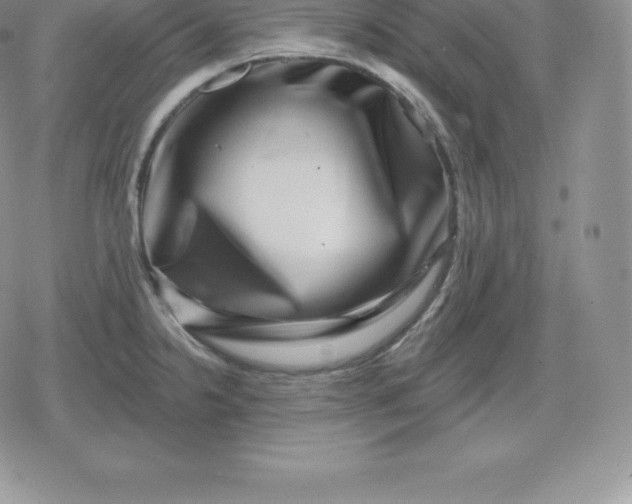 X0000080201238200612221357