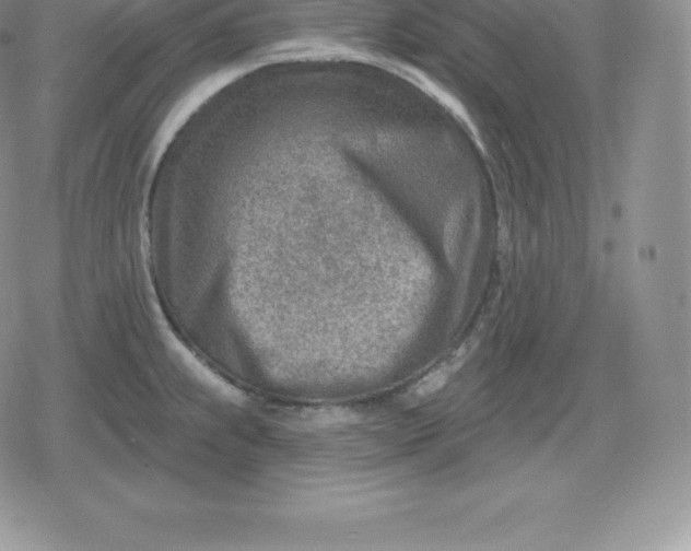 X0000080201239200612221357