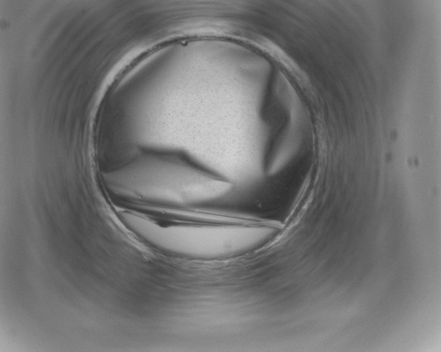 X0000080201240200612221357