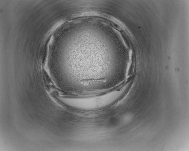 X0000080201241200612221357