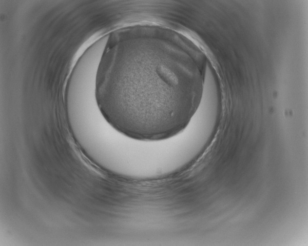 X0000080201242200612221357