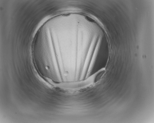 X0000080201243200612221357