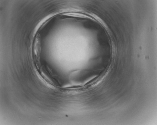 X0000080201246200612221357