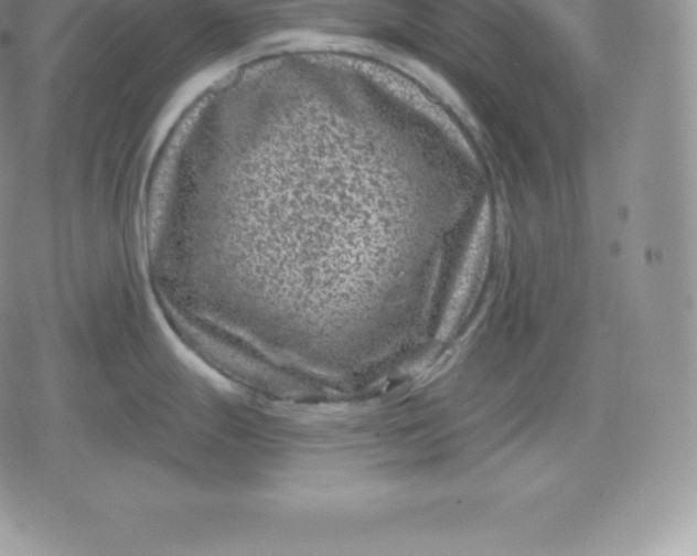 X0000080201247200612221358