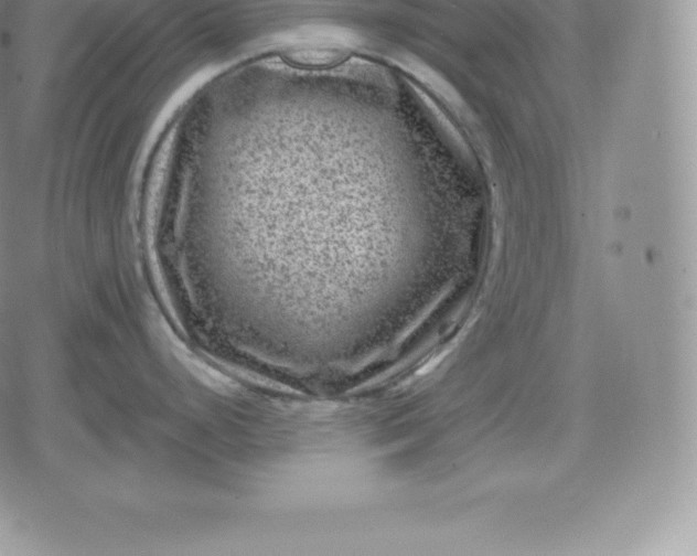 X0000080201248200612221358